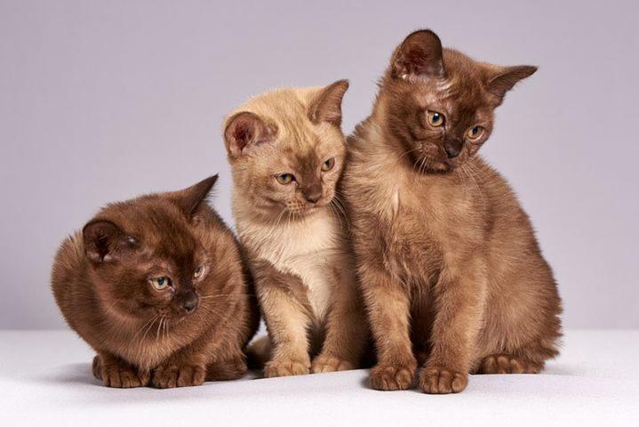 Die Unterkunft Steht Ab Sofort Nicht Mehr Zur Verfuegung Appartment Is Finis 1 June - Thanks For All Your Andreas & 3 Cats Lubeck Exterior photo